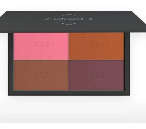 Paleta Idraet Reacargable Imantada Vacia Grande