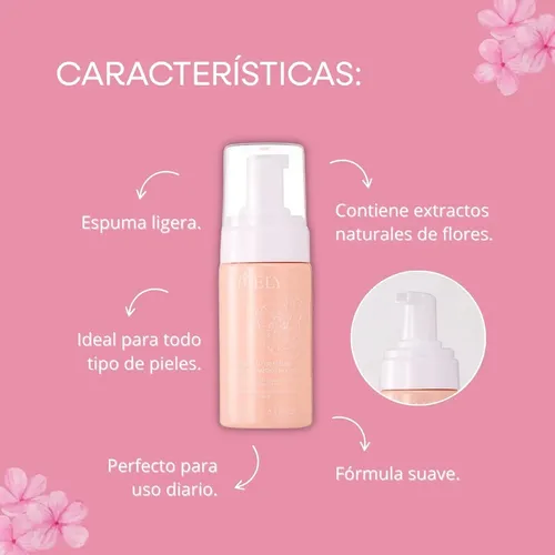 Limpiador Desmaquillante En Mousse Mely 3 En 1