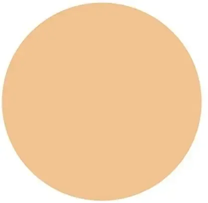Revlon New Complexion Maquillaje Compacto 05 Oportunidad!