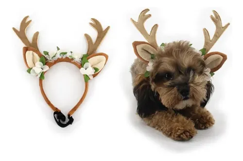 Accesorios Para Pelo De Perro Y Gato L