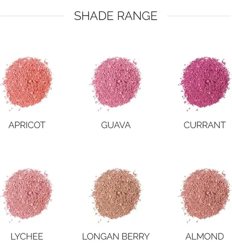 Blush Ofir Elation Polvo Compacto Larga Duración