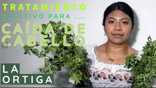 Loción Capilar Para Caída Del Cabello Propóleos Y Ortiga