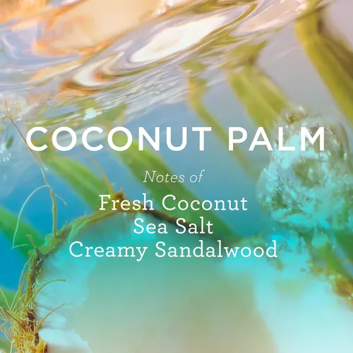 Crema Corporal Mix:bar Coco, Palma, Karité Y Manteca De Caca