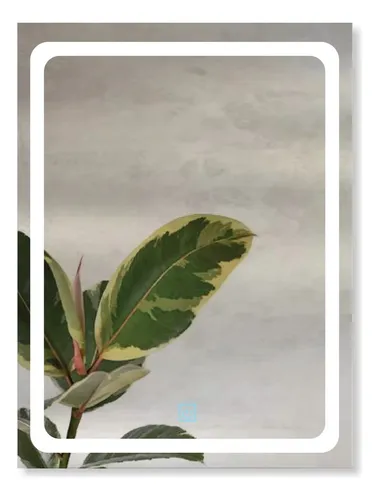 Espejo Led 70x50cm Táctil Touch Envio Gratis