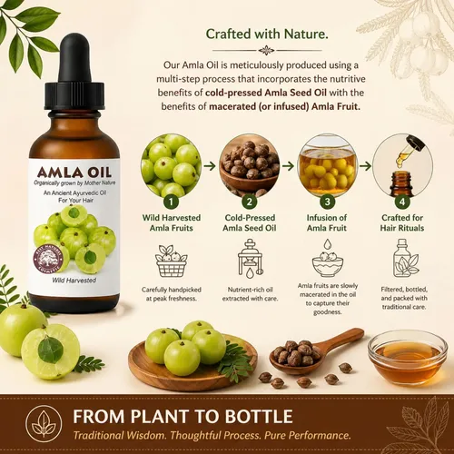Aceite Capilar Amla Best Nature’s Cosmetics 60ml Nutritivo
