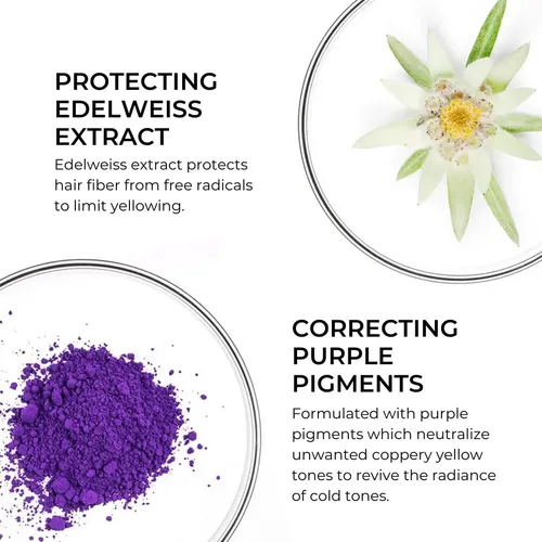 Mascarilla Capilar Phyto Purple Reparadora Para Cabello Rubi