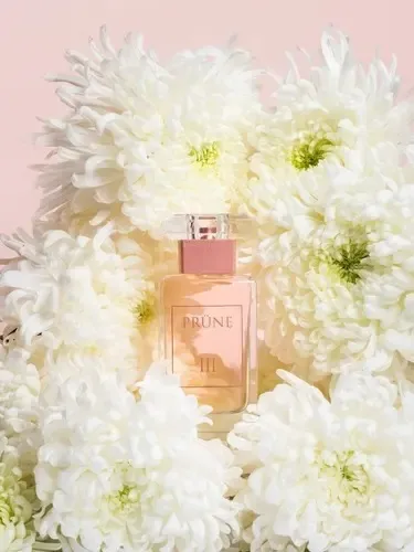 Prune Ill Eau De Parfum X50ml