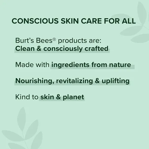 Polvo Matificante Burts Bees Nutmeg 0.3 Oz