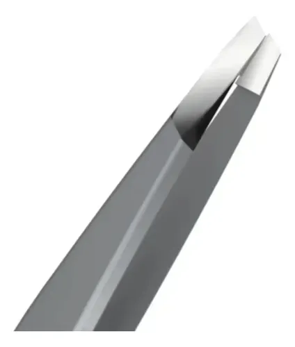 Pinza De Cejas Staleks Pro Serie Expert 10 -te-10-4