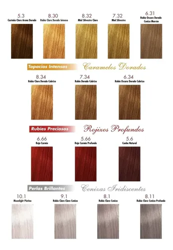 Silkey Key Kolor Clasica Kit Completo Coloración Permanente