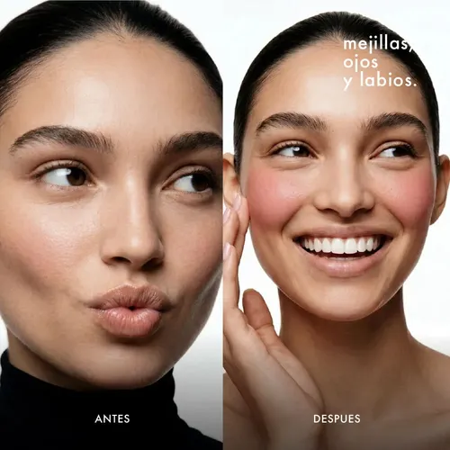 Rubor Cher Dieciocho Multistick Blush