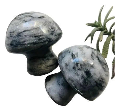 Guasha Honguito Onix Gris