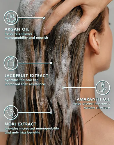 Shampoo Frizz Control Moroccanoil X 250ml
