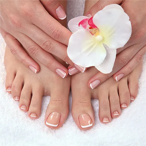 Calcomanías Manicura Francesa 576pz – Luna Autoadhesivas A