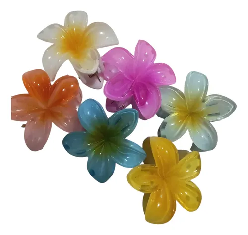 Pack De Lip Gloss Con Mini Broches X 6 Con Bolsita Mayorista