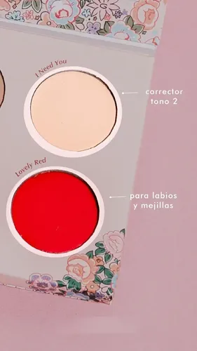 Zaira Beauty Paleta Pure Love Correctores Y Labiales