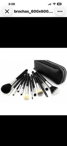 Set 12 Brochas Pelo Natural Y Sintetico Con Estuche