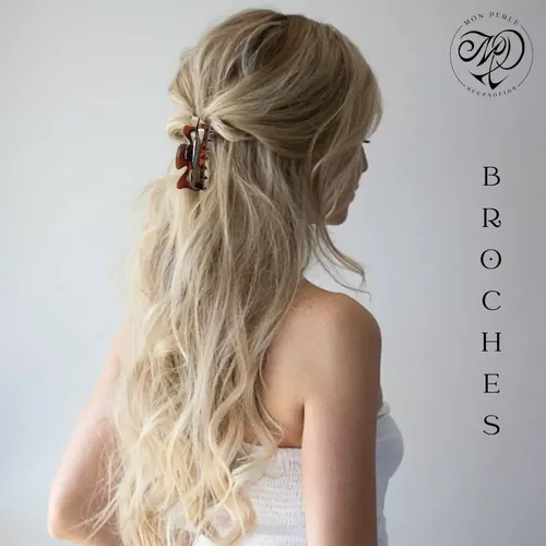 Broche Pelo Carey Frances Ganchos Clip Broches Franceses Carey