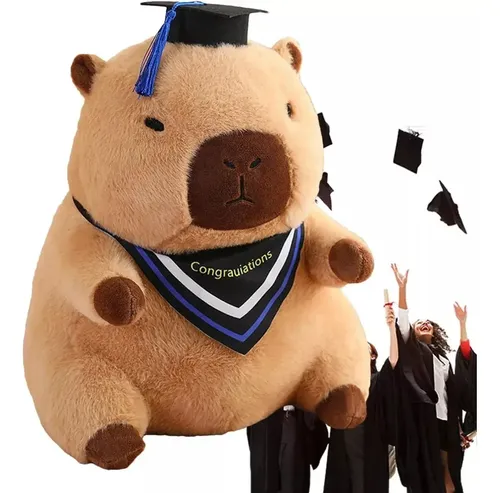 Muñeca De Peluche Con Gorro De Graduación, Regalo De M