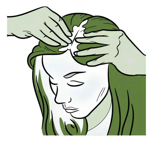 Tintura Shampoo Issue Express 5 Minutos Rubio Oscuro X4u