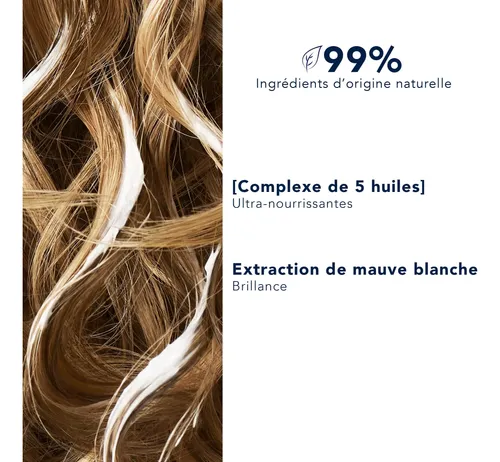 Aceite Capilar Phyto Absolute Nourishment Care Pre-champú 10
