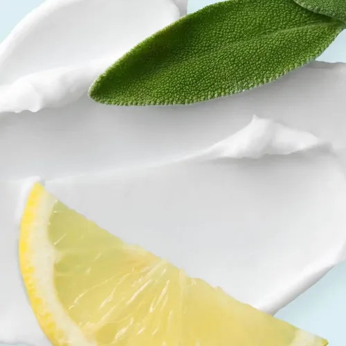 Manteca Corporal Bliss Limón Y Salvia – Crema Máxima Hidrata