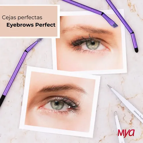Brochas Set Para Cejas Pinzas Y Estuche Real Technique Eye