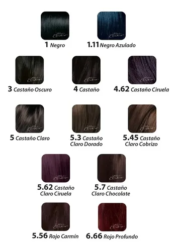 Tintura Biferdil Biocolor Mascara Nutriprotectora Nº4.62 Tono Nº4.62 Castaño Ciruela
