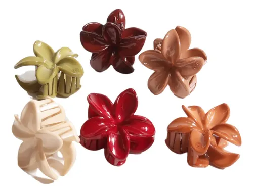 Broche Gancho P/ Pelo Flor Hawaiana X2uni Surtido Tendencia
