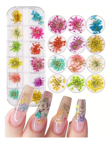 — ! Decoración De Uñas Con Flores Secas Naturales, *