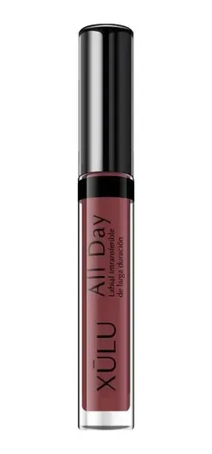 Labial Líquido Intransferible All Day Larga Duración Z249 Color 24 – Funk