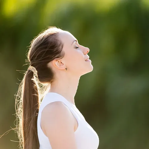 Title: 6 Gomas Elásticas Para El Cabello Coleta Ajustable