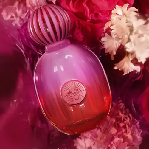 Perfume The Icon Supreme 50ml Banderas