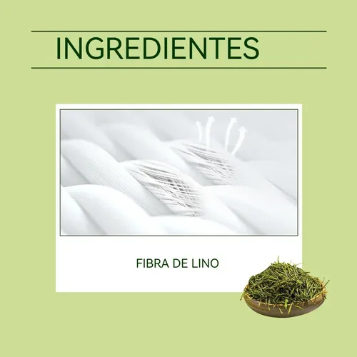 Papel Absorvente De Óleo De Chá Verde Fresco 100 Unidades
