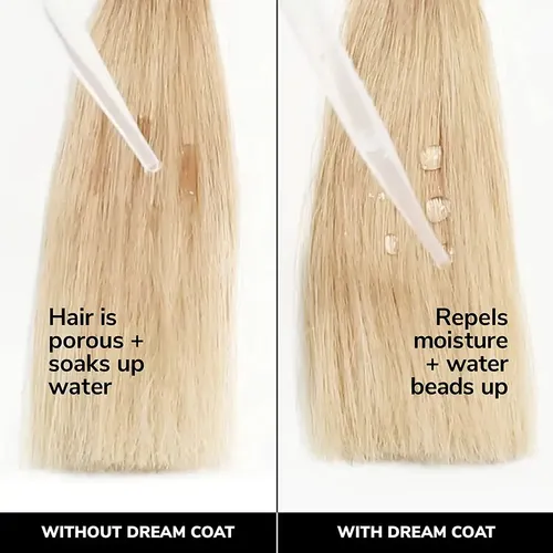 Color Wow Dream Coat Spray Pelo Sobrenatural Tik Tok 50ml