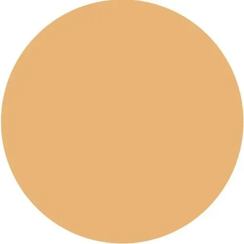 Polvo Compacto Flori Roberts Honey 8 Tonos