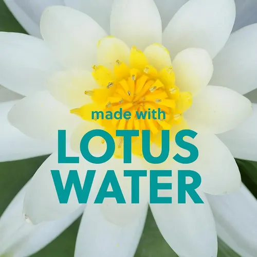 Exfoliante Corporal Tree Hut Lotus Water 532ml Hidratante