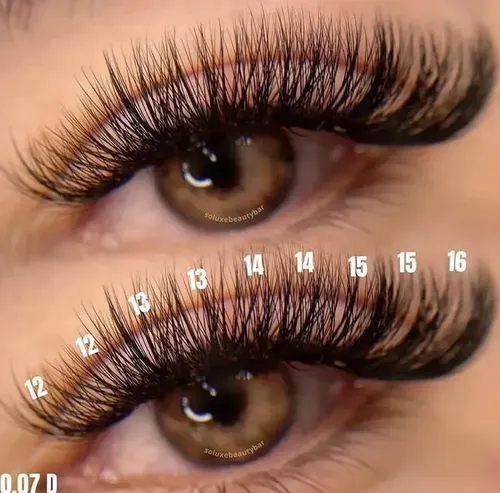 Kit Pestañas Postizas Cluster Punto Por Punto 2 Estilos Beauty Sheen Con Bond Seal Y Pinza