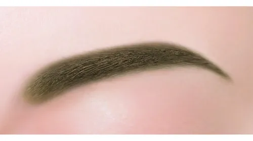 Sana Japón Lápiz Cejas Waterproof 01 Marrón Grisáceo