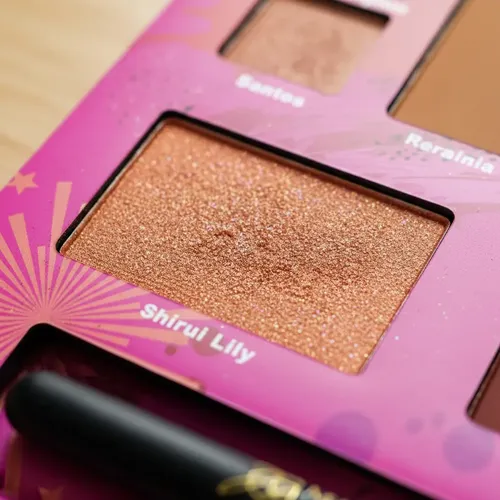 Set Maletin De Sombras 51tonos Ideal  Regalo Dia De La Madre