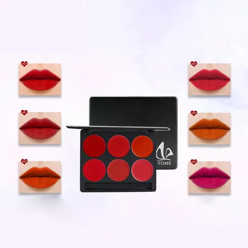 Paleta De 6 Pintalabios, Brillos Labiales, Plato