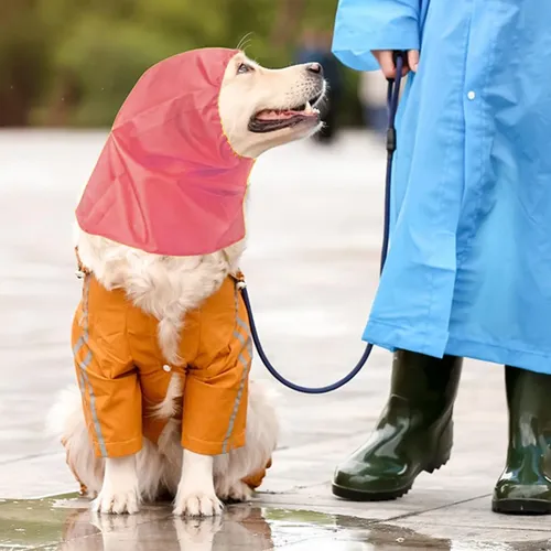 Gorro De Baño Con Protección Auditiva Para Gatos, Práctico C