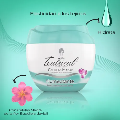 Crema Facial Teatrical Humectante X 200 G