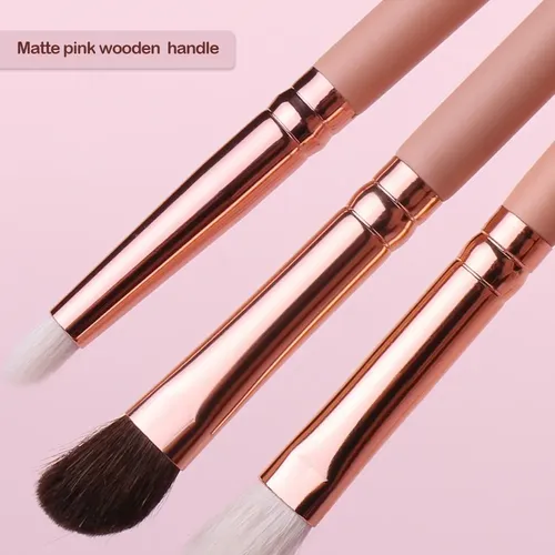Set 10 Brochas Para Ojos Pelo Mixto Beili