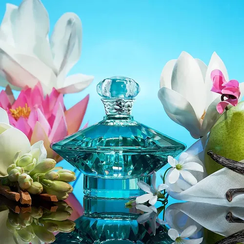 Perfume Curious Britney Spears Mujer Eau de Parfum Floral 100ml