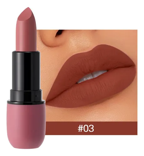Maquillaje Lápiz Labial Niebla Cara Mate Sin Perder Color 02
