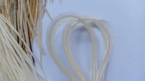 Plumas Naturales Para Pelo X6un. De 23-25cm Mix De Colores