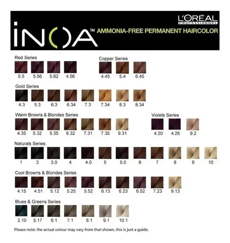 Tintura Permanente Inoa Loréal Profesional Sin Amoníaco 60g