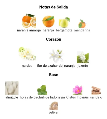 Perfume Llnterdlt/e.i Mujer 100ml Extracto Concentrado