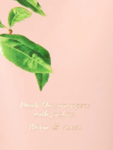Loción Crema Corporal Victorias Secret Sunlit Nectar